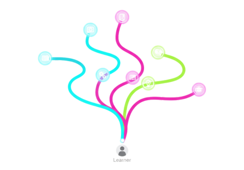 Personalized Pathways